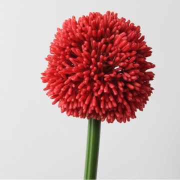 Allium de plástico BEATRISA, rojo, 65cm, Ø10cm