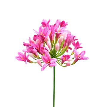 Flor artificial Agapanthus OMOLON, rosa, 75 cm