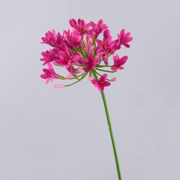 Flor artificial Agapanthus PHILINA, rosa, 75cm, Ø14cm