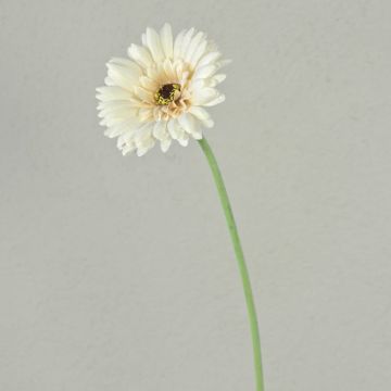 Flor artificial Gerbera TEUDELINDE, blanco-crema, 55 cm, Ø 8 cm