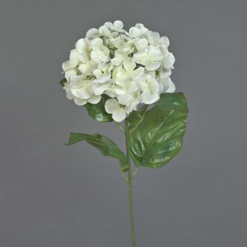 Hortensia artificial MONA, crema, 70cm, Ø16cm