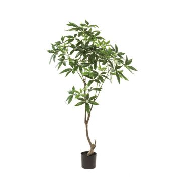 Árbol artificial pachira CANTSA, tronco artificial, 150 cm