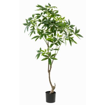Árbol artificial pachira CANTSA, tronco artificial, 150 cm Árbol artificial pachira CANTSA, tronco artificial, 150 cm