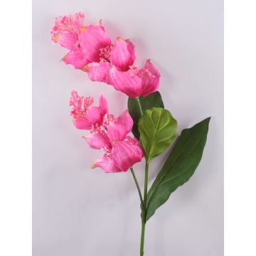 Rama artificial de medinilla LASENTER, rosa, 110 cm Rama artificial de medinilla LASENTER, rosa, 110 cm