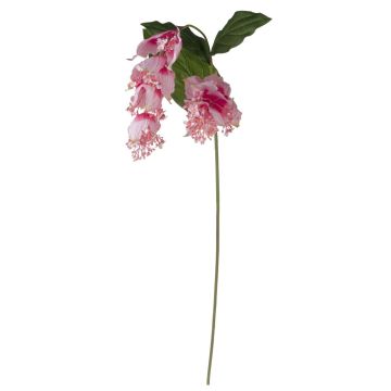 Rama artificial de medinilla LASENTER, rosa, 140 cm