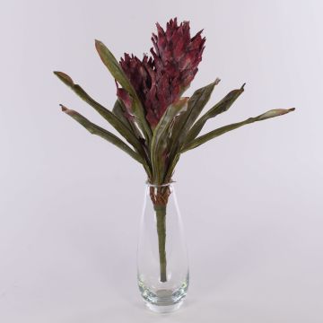 Bromelia Guzmania artificial de terciopelo WALFRIEDE en varilla, rojo burdeos, 50 cm Bromelia Guzmania artificial de terciopelo WALFRIEDE en varilla, rojo burdeos, 50 cm