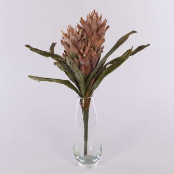 Bromelia Guzmania artificial de terciopelo WALFRIEDE en varilla, rosa viejo, 50 cm Bromelia Guzmania artificial de terciopelo WALFRIEDE en varilla, rosa viejo, 50 cm