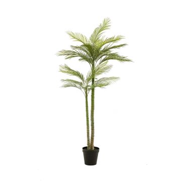 Palmera artificial grande palmera fénix MIRCA, maceta decorativa, 225 cm