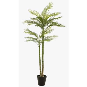 Palmera artificial grande palmera fénix MIRCA, maceta decorativa, 225 cm Palmera artificial grande palmera fénix MIRCA, maceta decorativa, 225 cm