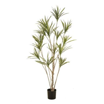 Árbol artificial Dracaena marginata SHALLU, troncos artificiales, verde, 180 cm