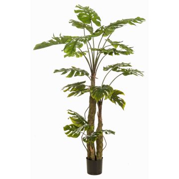 Planta artificial Philodendron monstera deliciosa KORVEX, raíces aéreas, 180 cm Planta artificial Philodendron monstera deliciosa KORVEX, raíces aéreas, 180 cm