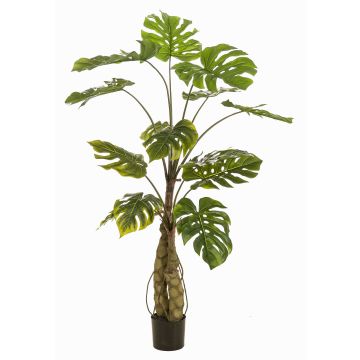 Planta artificial Philodendron monstera deliciosa KORVEX, raíces aéreas, 150 cm