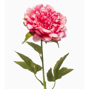 Peonía artificial GAVRON, rosa, 55 cm Peonía artificial GAVRON, rosa, 55 cm