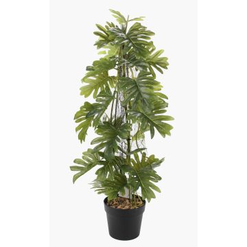 Planta artificial filodendro selloum FLENTO, maceta decorativa, raíces aéreas, 80 cm