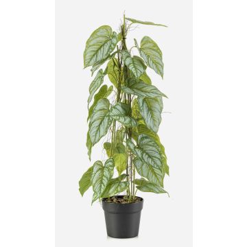 Planta artificial flor de flamenco RIFLEM, maceta decorativa, raíces aéreas, verde, 80 cm