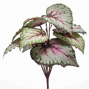 Planta artificial Begonia de hoja BLAROM en varilla, crossdoor, gris-rosa, 25 cm