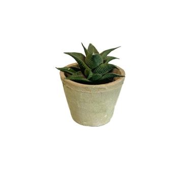 Suculenta artificial Haworthia limifolia GLOFER en maceta de terracota, verde oscuro, 13 cm