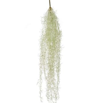 Suculenta artificial Tillandsia usneoides BRAVIK, varilla, difícilmente inflamable, gris, 85 cm