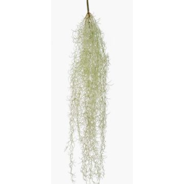 Suculenta artificial Tillandsia usneoides BRAVIK, varilla, difícilmente inflamable, gris, 85 cm
