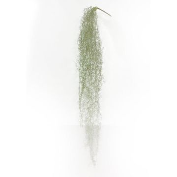 Suculenta artificial Tillandsia usneoides BRAVIK, varilla, difícilmente inflamable, gris, 150 cm