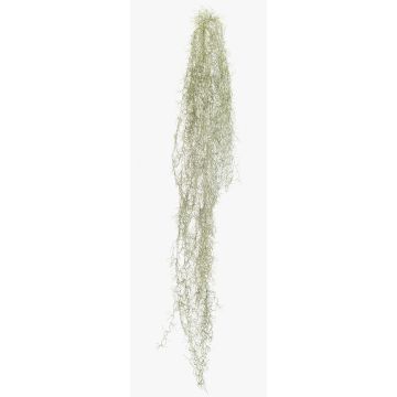 Suculenta artificial Tillandsia usneoides BRAVIK, varilla, difícilmente inflamable, gris, 150 cm