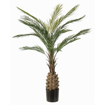 Palmera artificial palmera datilera ZOLTAR, crossdoor, 150 cm Palmera artificial palmera datilera ZOLTAR, crossdoor, 150 cm