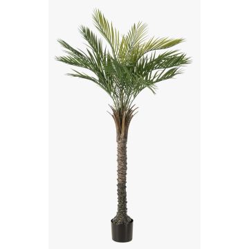 Palmera artificial palmera datilera ZOLTER, crossdoor, 150 cm Palmera artificial palmera datilera ZOLTER, crossdoor, 150 cm