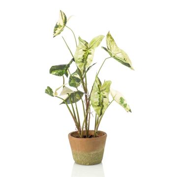 Planta artificial Syngonium YOMREL en maceta de terracota, verde y blanco, 60 cm