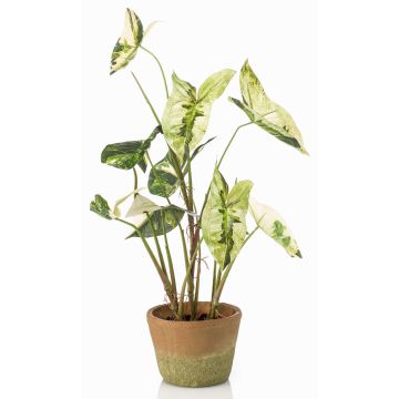 Planta artificial Syngonium YOMREL en maceta de terracota, verde y blanco, 60 cm