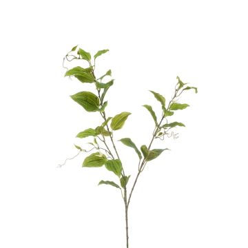 Rama decorativa de clemátide VLORIX, verde crema, 105 cm