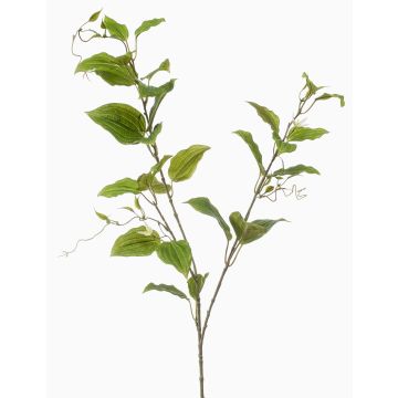 Rama decorativa de clemátide VLORIX, verde crema, 105 cm Rama decorativa de clemátide VLORIX, verde crema, 105 cm