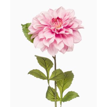 Flor artificial de dalia REFOLG, rosa, 70 cm