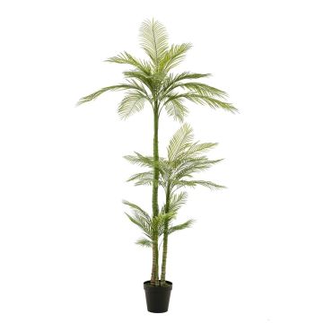 Palmera artificial grande palmera fénix MIRCA, maceta decorativa, 245 cm
