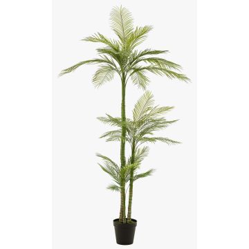 Palmera artificial grande palmera fénix MIRCA, maceta decorativa, 245 cm Palmera artificial grande palmera fénix MIRCA, maceta decorativa, 245 cm