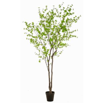 Árbol artificial de capuchina NEVKAR en maceta decorativa, troncos artificiales, verde, 300 cm Árbol artificial de capuchina NEVKAR en maceta decorativa, troncos artificiales, verde, 300 cm