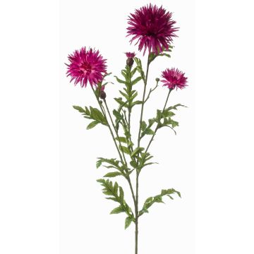 Rama decorativa aciano BROLIX, violeta, 100 cm