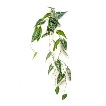 Planta artificial Alocasia sanderiana EXEVLO en varilla, colgante, verde, 80 cm