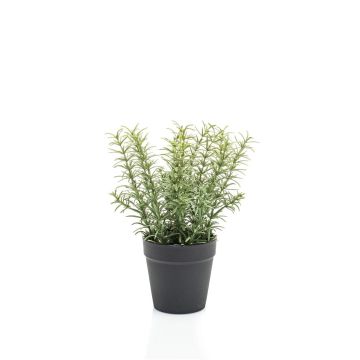 Hierbas aromáticas artificiales tomillo WHOOPI en maceta decorativa, verde, 22 cm