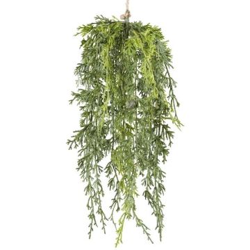 Planta artificial de ciprés ALYNA, frutos, colgante, verde, 40cm Planta artificial de ciprés ALYNA, frutos, colgante, verde, 40cm