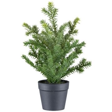 Planta artificial de tejo KRUHER, maceta decorativa, verde, 28 cm Planta artificial de tejo KRUHER, maceta decorativa, verde, 28 cm