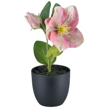 Flor artificial de rosa de Navidad DENDY, maceta decorativa, rosa, 19 cm