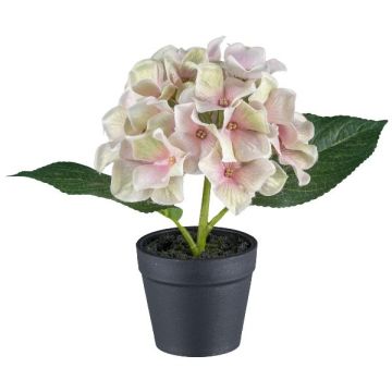 Flor decorativa Hortensia LENDYN en maceta decorativa, rosa pastel, 20 cm
