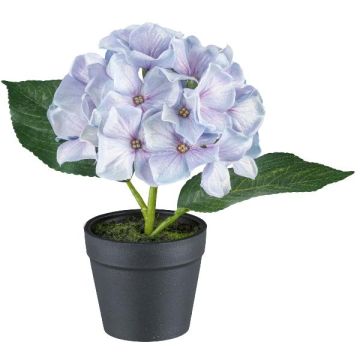 Flor decorativa Hortensia LENDYN en maceta decorativa, violeta claro, 20 cm