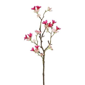 Rama decorativa Siete hijos del cielo GRIMKO, rosa-rosa, 50 cm