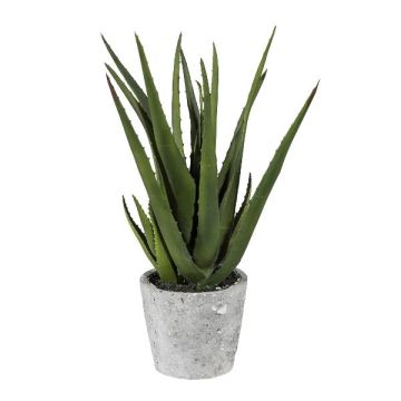 Suculenta decorativa Aloe Vera BRIZE en maceta de cemento, verde, 40 cm
