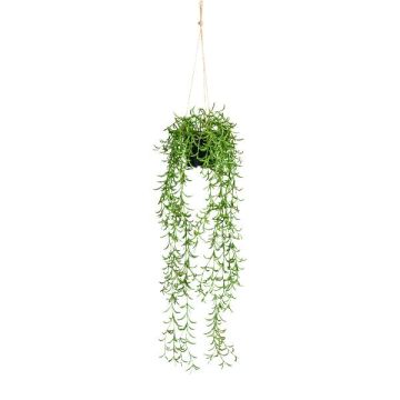 Rhipsalis artificial CANDO, verde, 70 cm