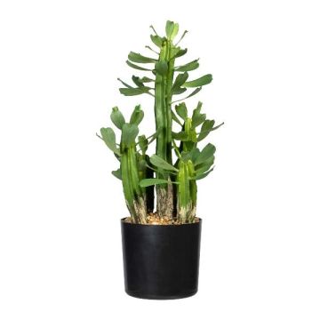 Cactus artificial Euphorbia trigona MANDOR, verde, 40 cm