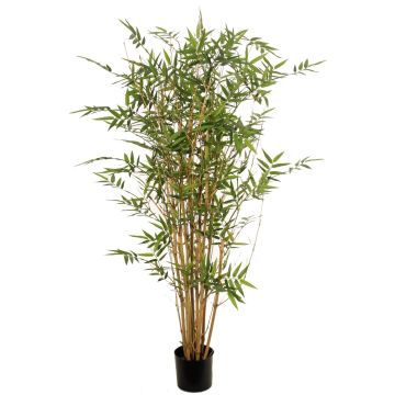 Planta artificial de bambú KEAO, cañas de bambú auténticas, 120 cm