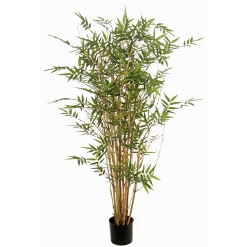 Planta artificial de bambú KEAO, cañas de bambú auténticas, 120cm Planta artificial de bambú KEAO, cañas de bambú auténticas, 120cm