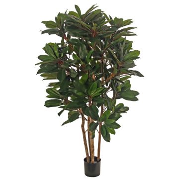 Planta artificial Schefflera ZULEIKA, troncos auténticos, verde, 120 cm Planta artificial Schefflera ZULEIKA, troncos auténticos, verde, 120 cm
